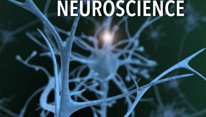 Center for Biomedical Neuroscience Center for Biomedical Neuroscience